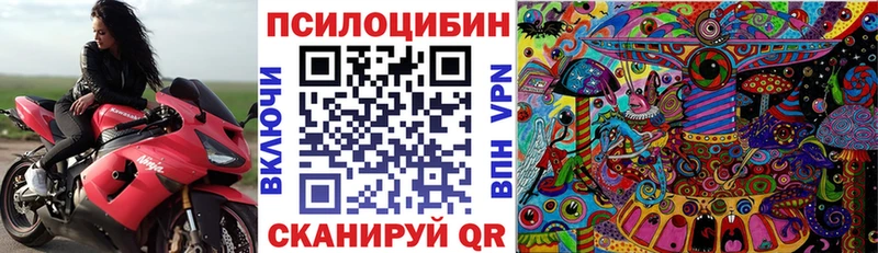 Галлюциногенные грибы GOLDEN TEACHER  продажа наркотиков  Красногорск 
